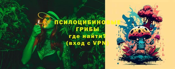 тгк Балахна