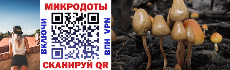 Псилоцибиновые грибы мухоморы  сколько стоит  Урай 